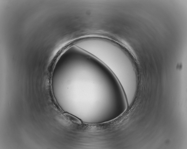X0000090721360200707201004