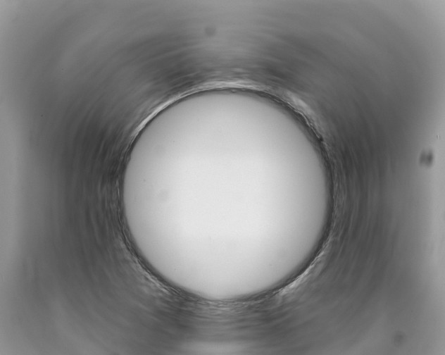 X0000090721361200707201004