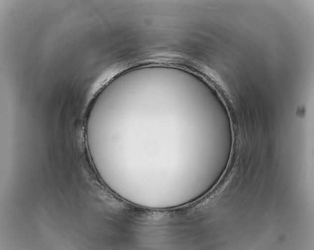X0000090721362200707201004