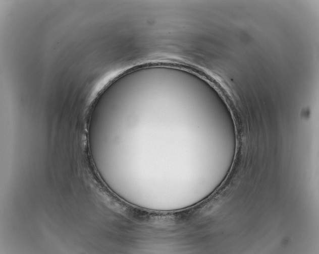 X0000090721363200707201004