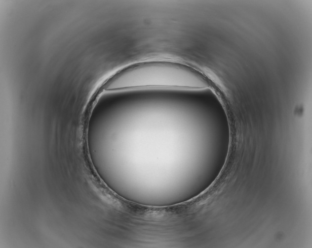 X0000090721364200707201004