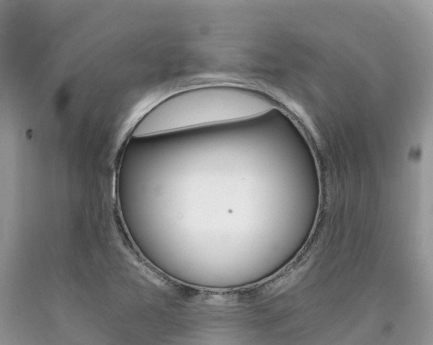 X0000090721365200707201004