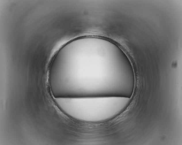 X0000090721366200707201004
