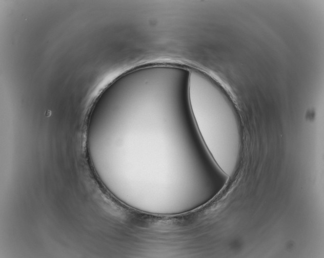 X0000090721367200707201004