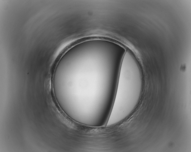 X0000090721368200707201004