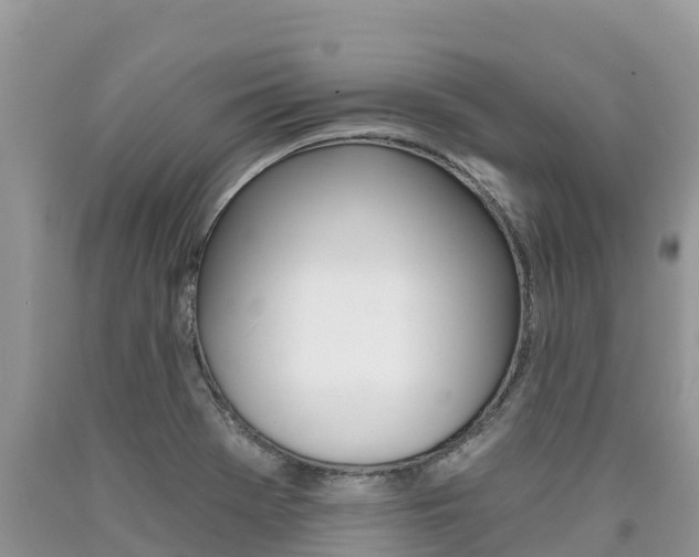 X0000090721369200707201004