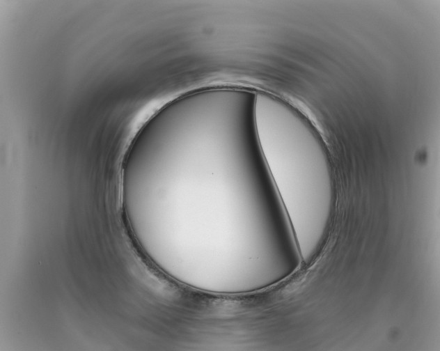 X0000090721371200707201004