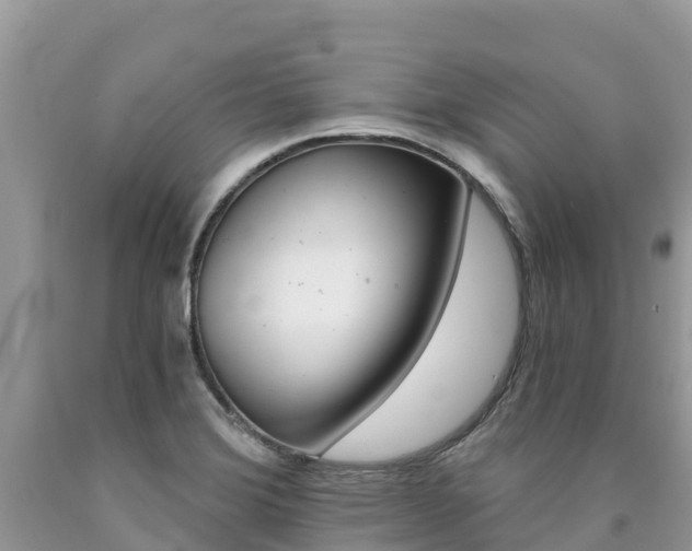 X0000090721372200707201004