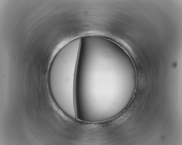 X0000090721373200707201004