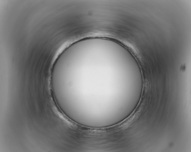 X0000090721374200707201004