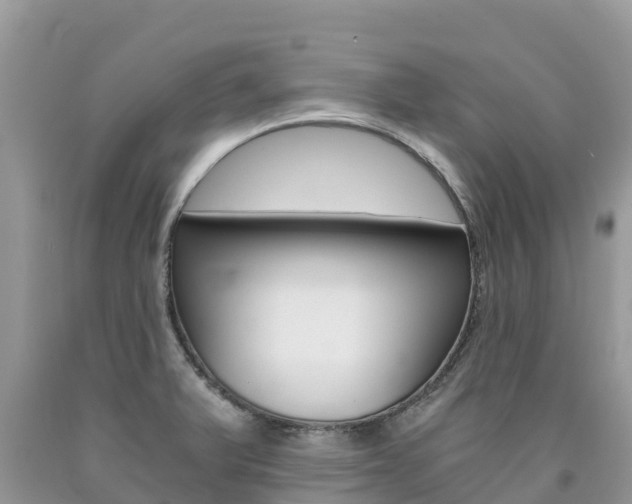 X0000090721375200707201004