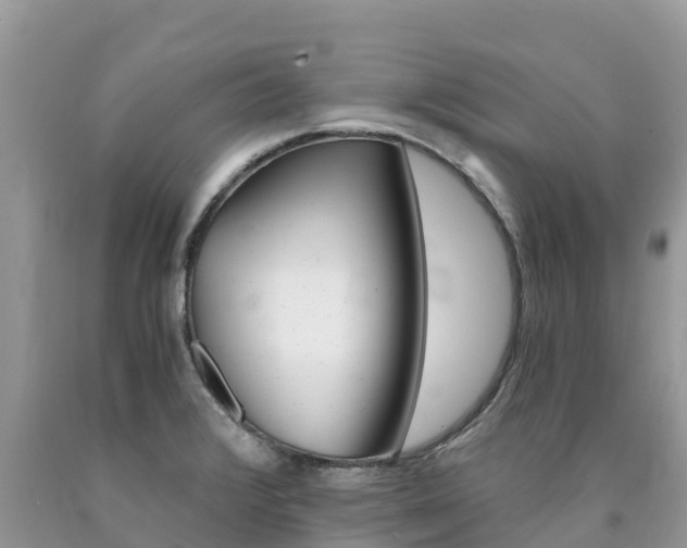 X0000090721376200707201004