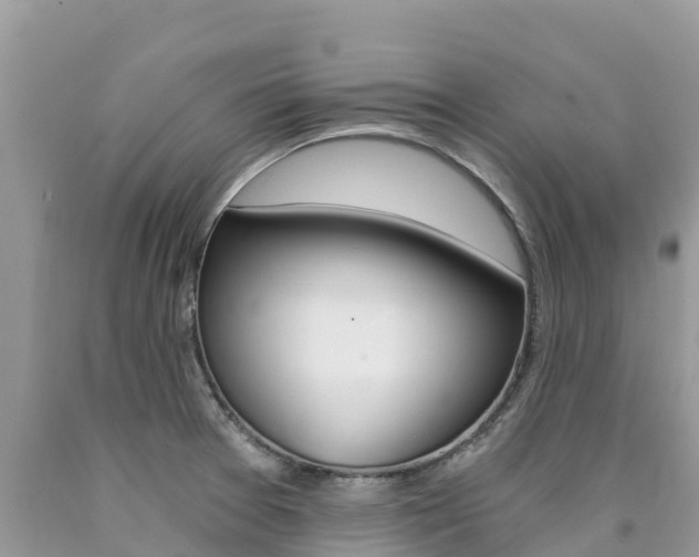 X0000090721377200707201004