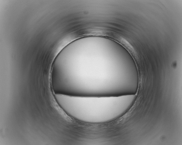 X0000090721378200707201004