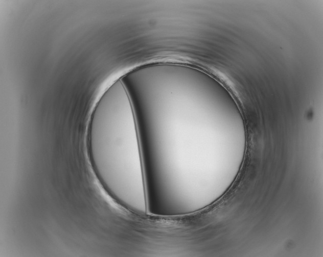 X0000090721379200707201004