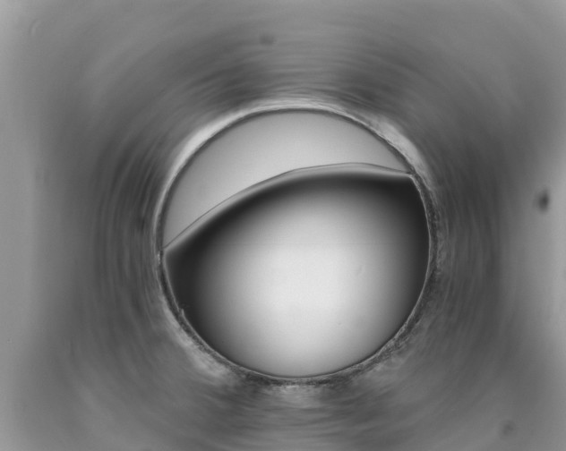 X0000090721380200707201004