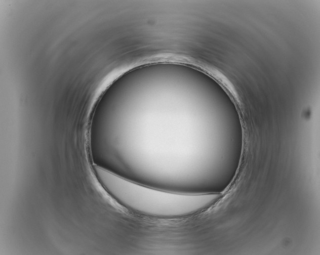 X0000090721381200707201004