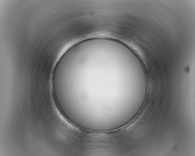 X0000090721382200707201004