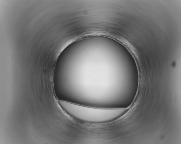 X0000090721385200707201004