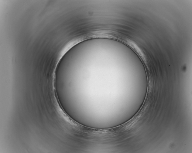 X0000090721386200707201004