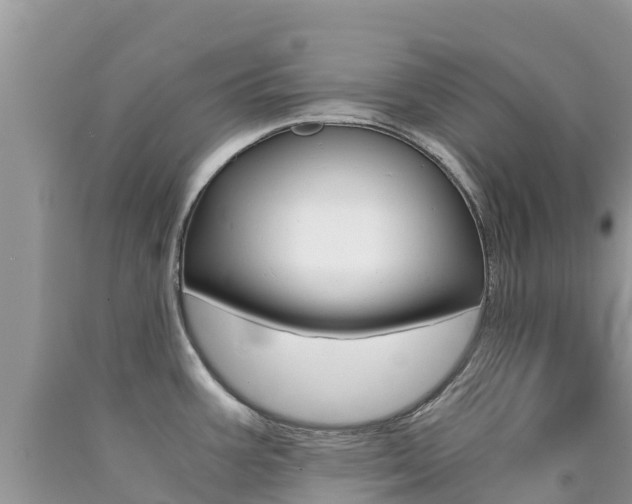 X0000090721387200707201004