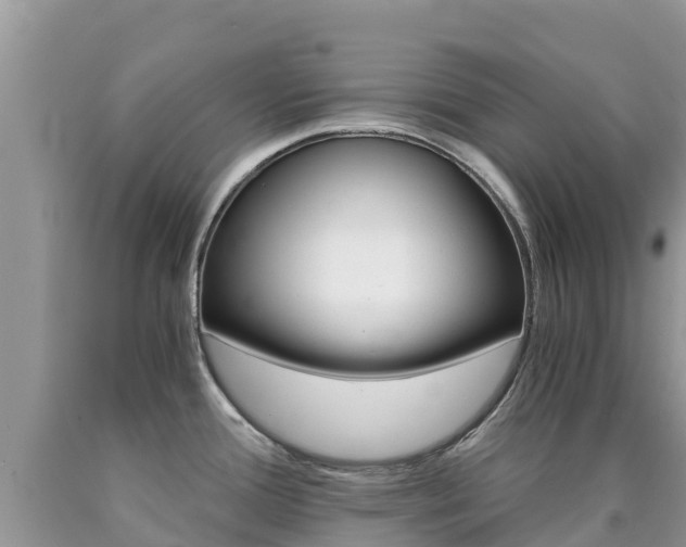 X0000090721388200707201004