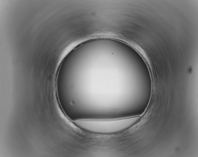 X0000090721389200707201004