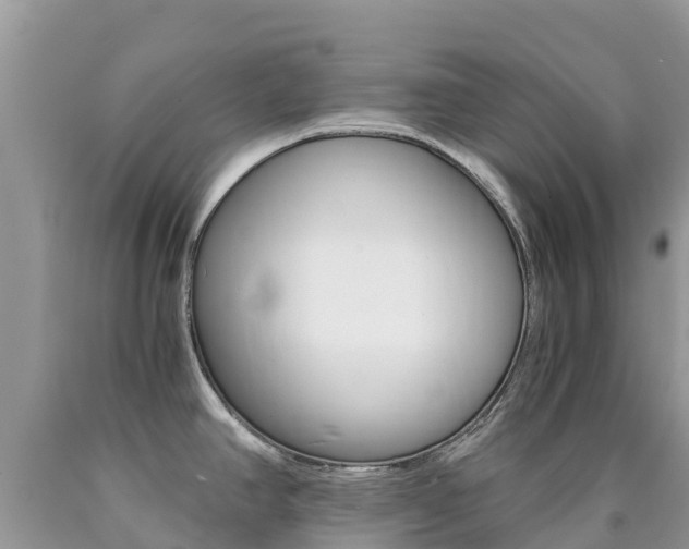X0000090721390200707201004