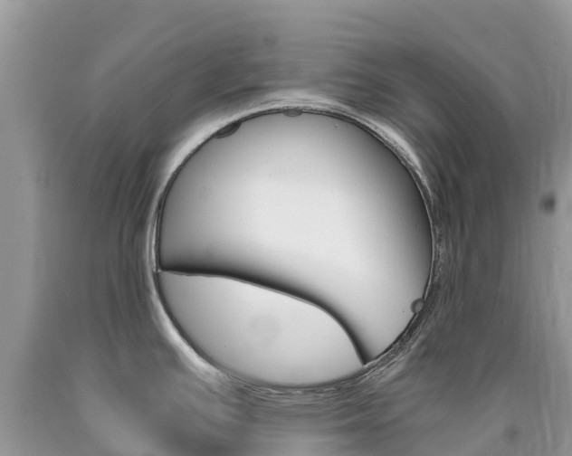 X0000090721391200707201004