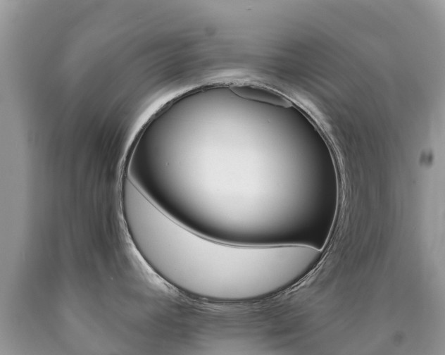 X0000090721392200707201004