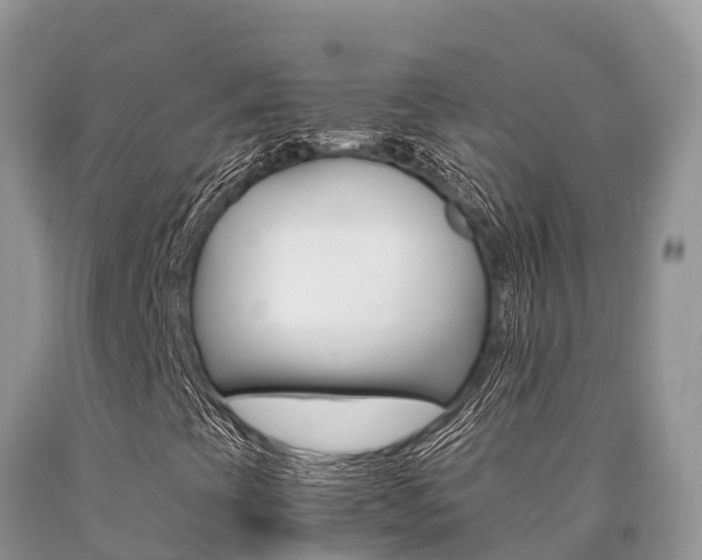 X0000090721393200707201003