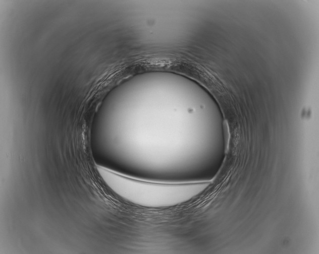 X0000090721394200707201003