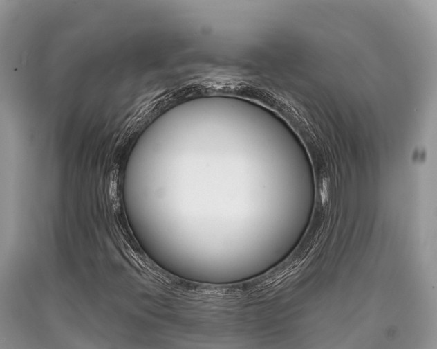 X0000090721396200707201003