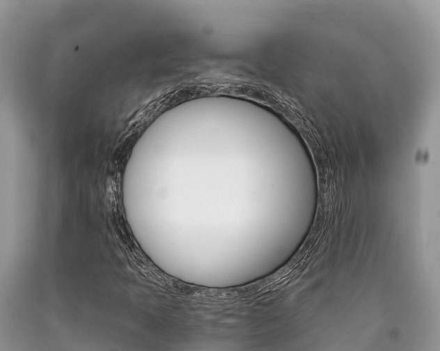 X0000090721397200707201003