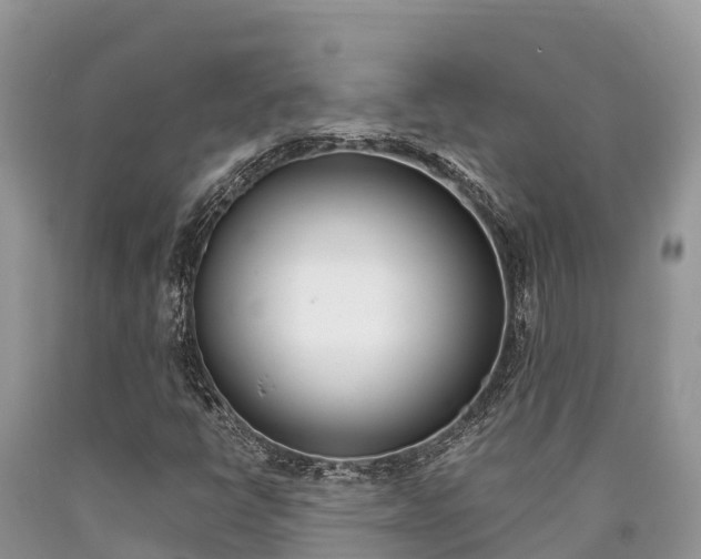 X0000090721398200707201003