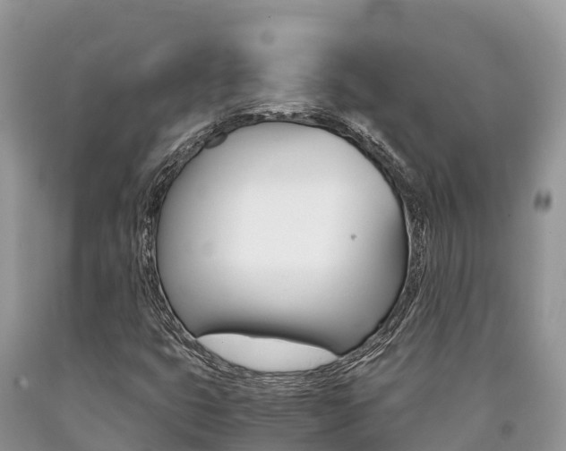 X0000090721399200707201003