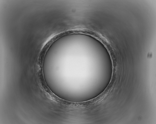 X0000090721400200707201003