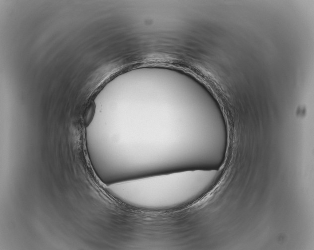 X0000090721401200707201003