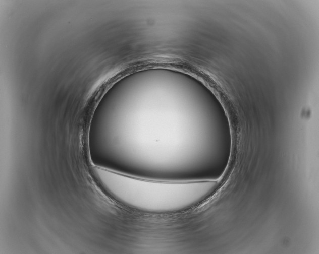 X0000090721402200707201003