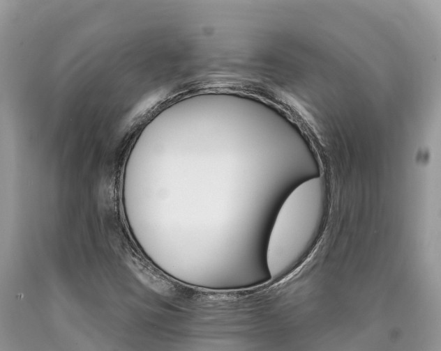 X0000090721403200707201003