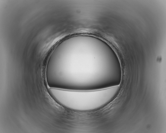 X0000090721404200707201003