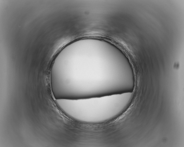 X0000090721405200707201003