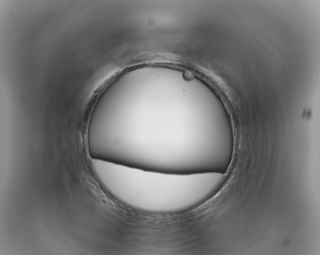 X0000090721407200707201003