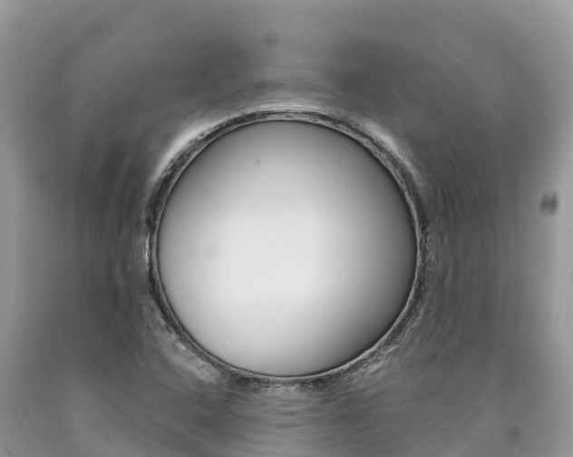 X0000090721408200707201003