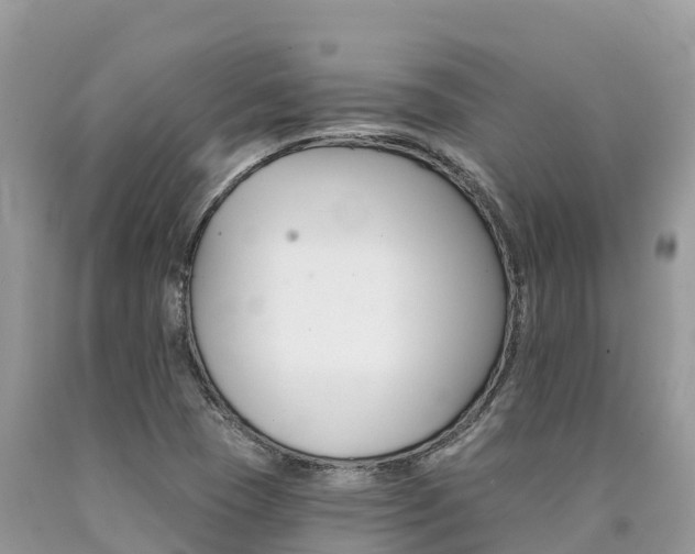 X0000090721409200707201003
