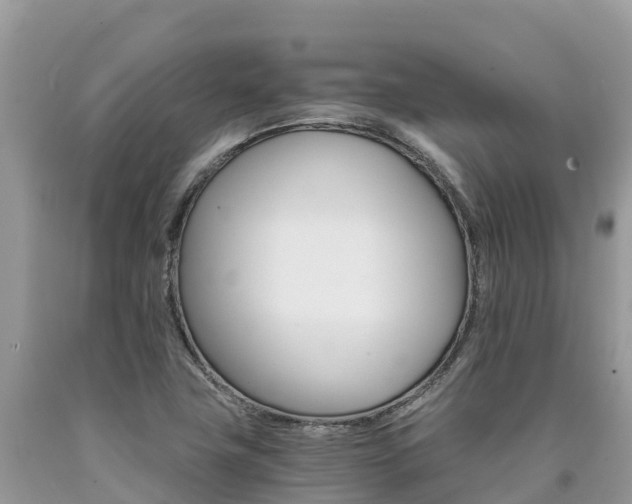 X0000090721411200707201004