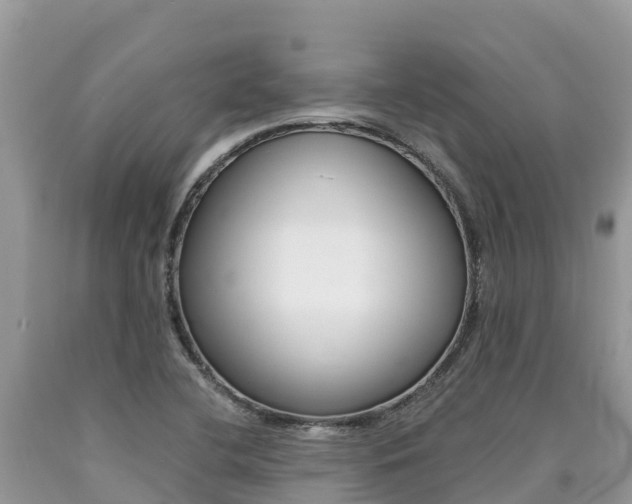 X0000090721412200707201004