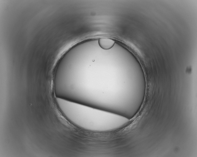 X0000090721413200707201004