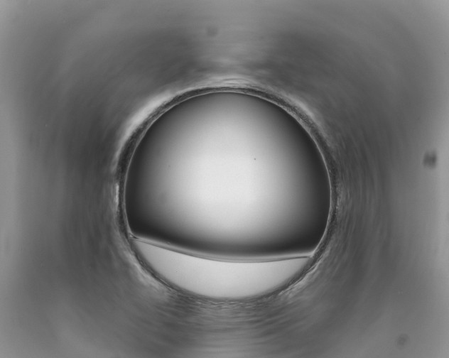 X0000090721414200707201004