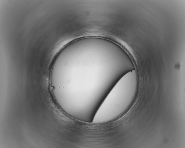 X0000090721415200707201004
